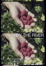 The House by the River