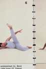 Animal Locomotion