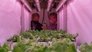 The Future of Food