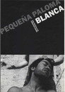 Pequeña paloma blanca