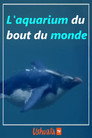 L'aquarium du bout du monde
