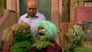 Image Sesame Street