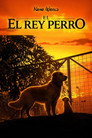 El Rey Perro