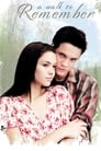 Poster for A Walk to Remember