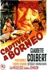 Captives à Bornéo