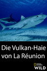 Plakat for 'Volcano Sharks'