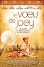 Le voeu de Joey