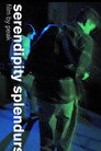 serendipity splendurs