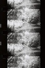The Silver Curtain