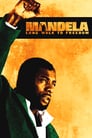 Movie poster for Mandela: Long Walk to Freedom