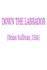 Down the Labrador