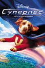 Постер: Суперпес