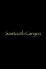 Sawtooth Canyon