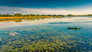 Danube