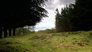 A Saintly Site - Isle of Mull, Inner Hebrides