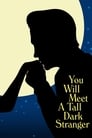 Movie poster for You Will Meet a Tall Dark Stranger