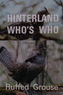 Hinterland Who's Who: Ruffed Grouse