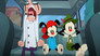 Animaniacs 3x12