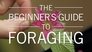 The Beginner's Guide to Foraging