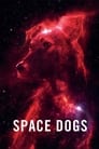 Space dogs