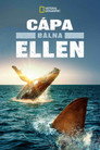 (HD). Gigászok Csatája: Cápa Bálna Ellen Teljes Film Magyarul (2020) Ingyen Online