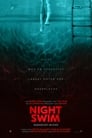 Night Swim (2024)