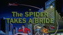 Spider Takes A Bride