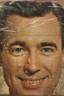 Mr. Wonderful