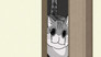 Night 17: Cats Can Pass Through If Their Heads Pass Through