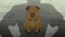Hachiken Jumps High