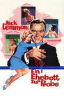 Ein Ehebett zur Probe (1963)