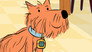Scratch Says