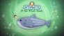 The Whale Shark