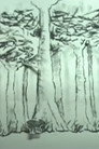 Árboles