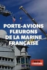 Porte-avions, fleurons de la marine française