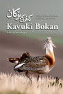 Kavukî Bokan