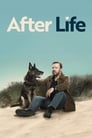 After Life – Online Subtitrat In Romana