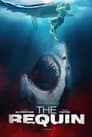 Imagen The Requin 2022