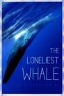 مترجم أونلاين و تحميل The Loneliest Whale: The Search for 52 2021 مشاهدة فيلم