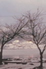 Phenomenology of a Japanese City