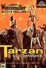 4KHd Tarzán Y Su Compañera 1934 Película Completa Online Español | En Castellano