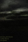 Black Fir Tree
