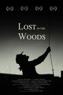 Lost In The Woods (2023) In Streaming Ita /Altadefinizione Film Senza Limiti