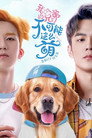 我的兄弟不可能这么萌