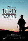 The Not So Flightless, Flightless Bird