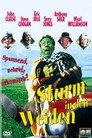 Sturm in den Weiden (1996)