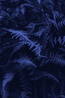 Elastic Jungle