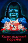 Постер: Хозяин подземной тюрьмы