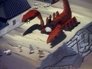 The Chinese Scorpion