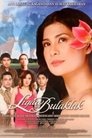 Ligaw na Bulaklak Episode Rating Graph poster